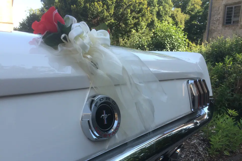 Brunner Paul — photo 5