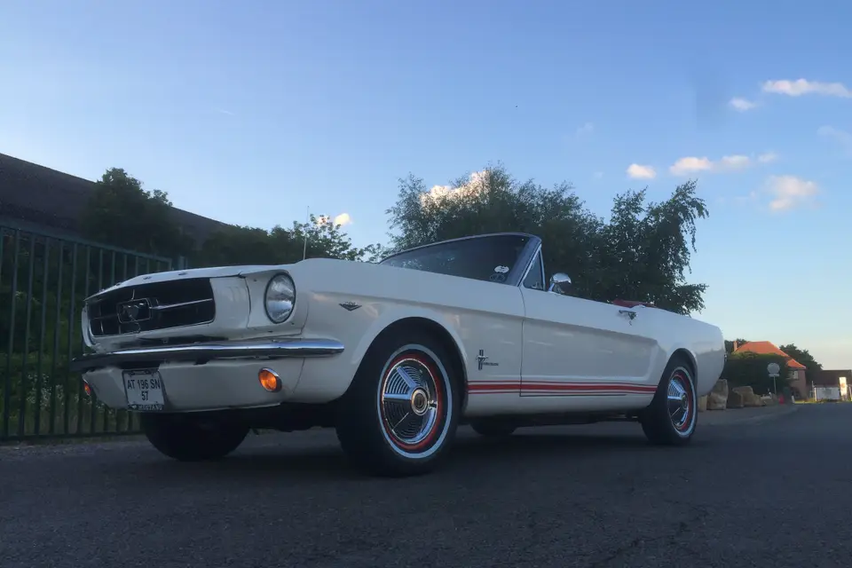 Brunner Paul — photo 6