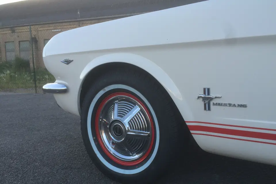 Brunner Paul — photo 7