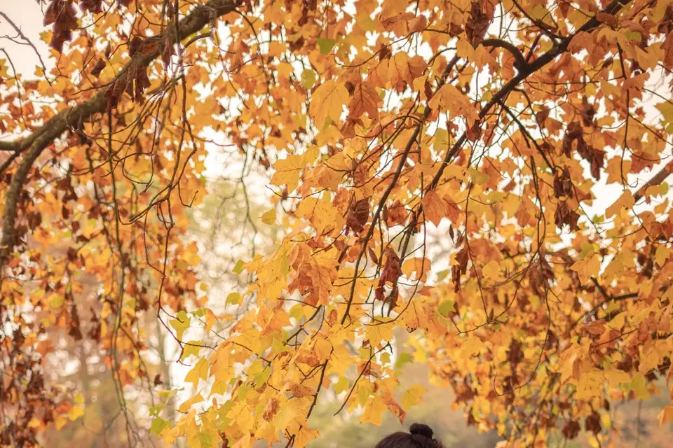 Camila Vuong Photographe — photo 4