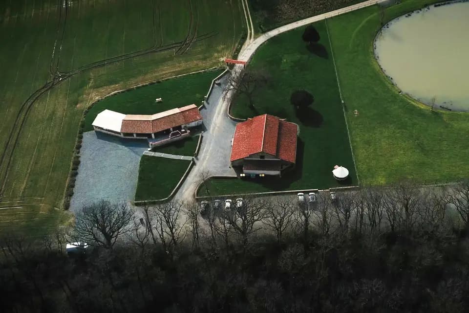 Force Vive Productions — photo 4