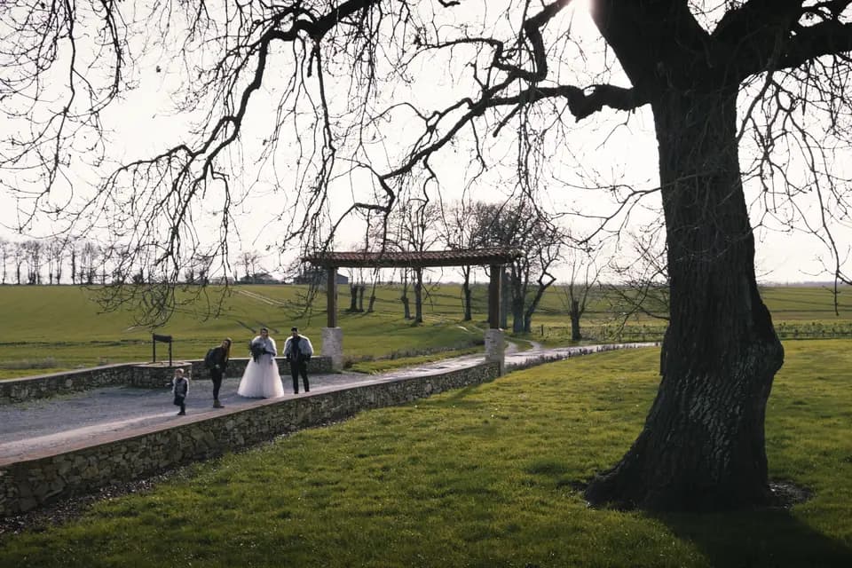 Force Vive Productions — photo 2