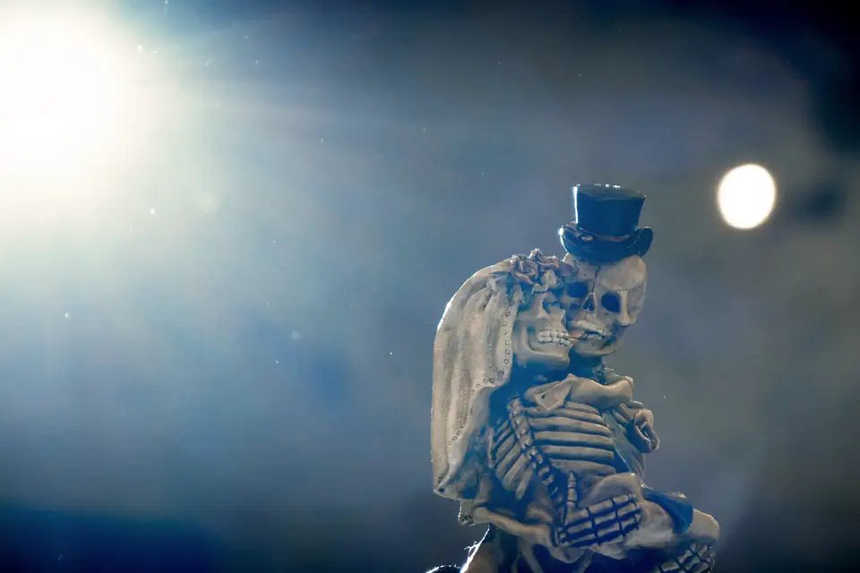 Force Vive Productions — photo 7