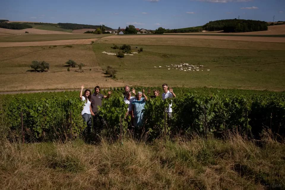 Champagne Moutaux — photo 6