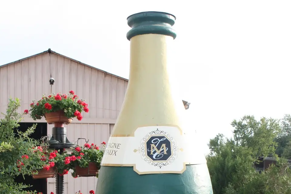 Champagne Moutaux — photo 4