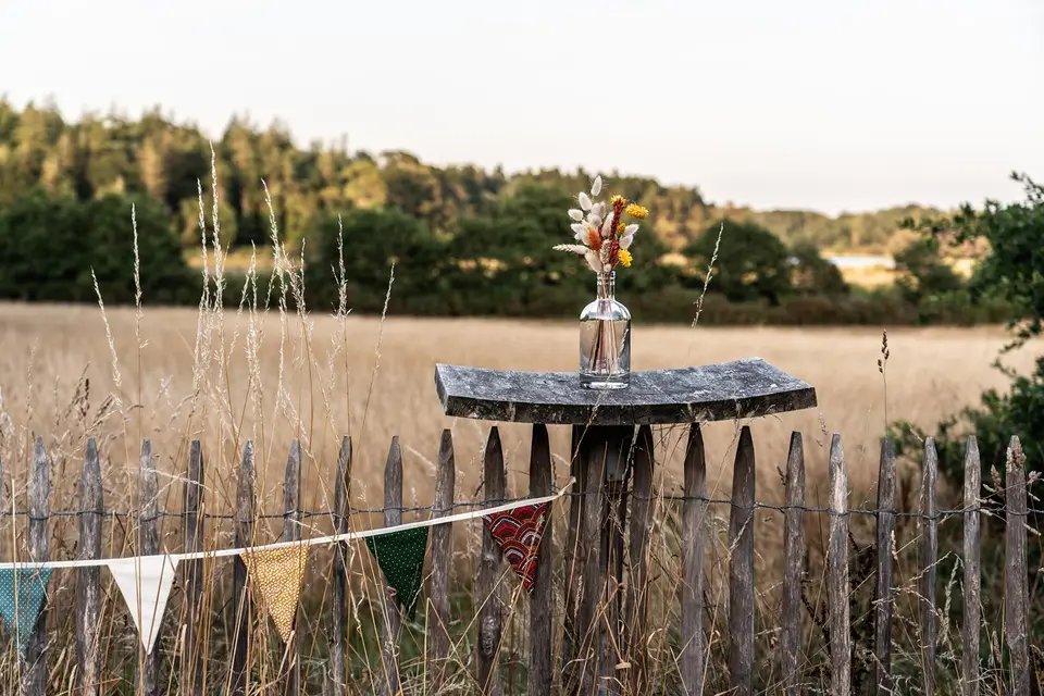 Romans d'Images — photo 6