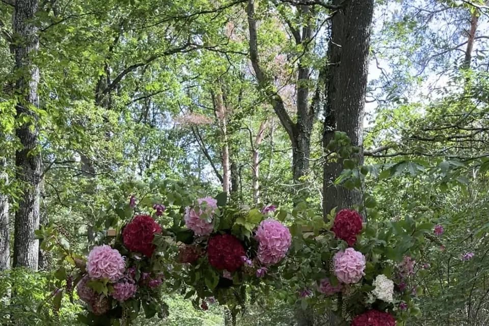 Vila Cyrus — photo 3