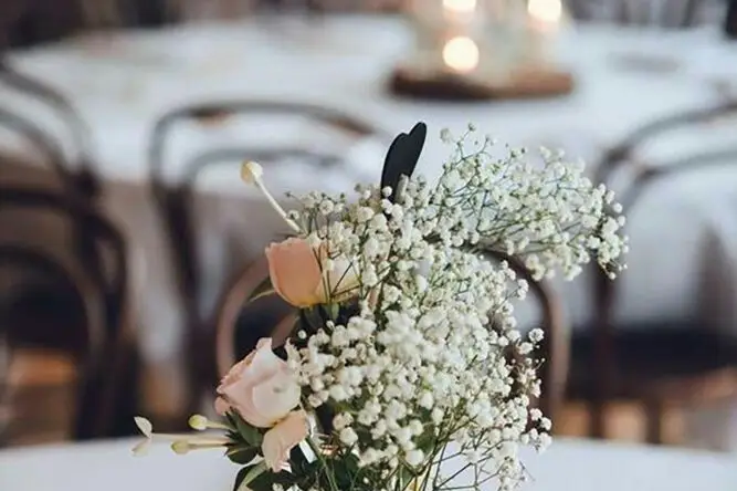 Fleurs de Provence — photo 5