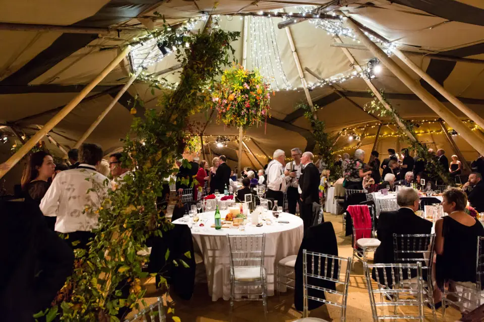 Tipistars — photo 4