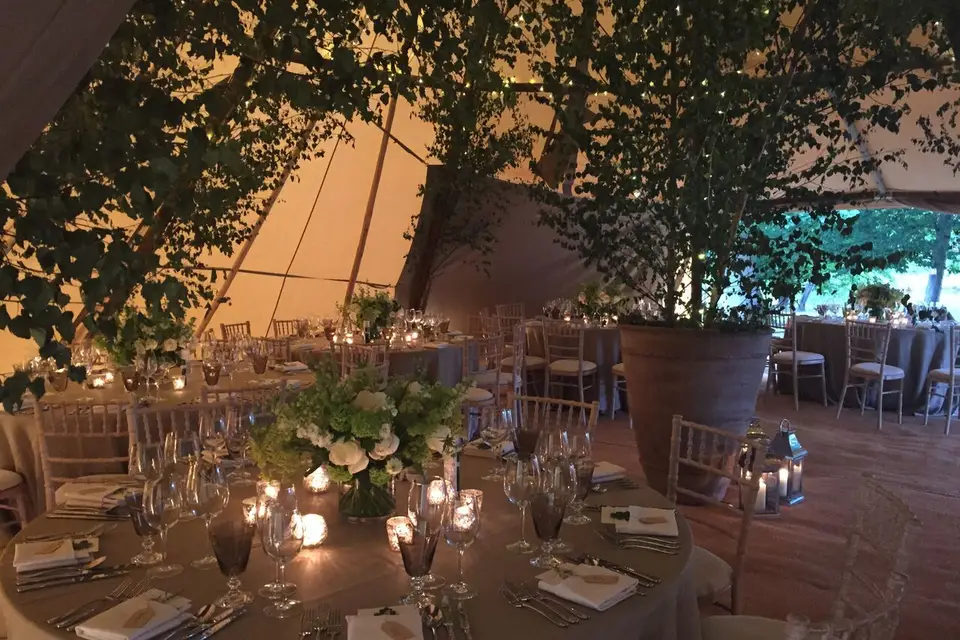 Tipistars — photo 3