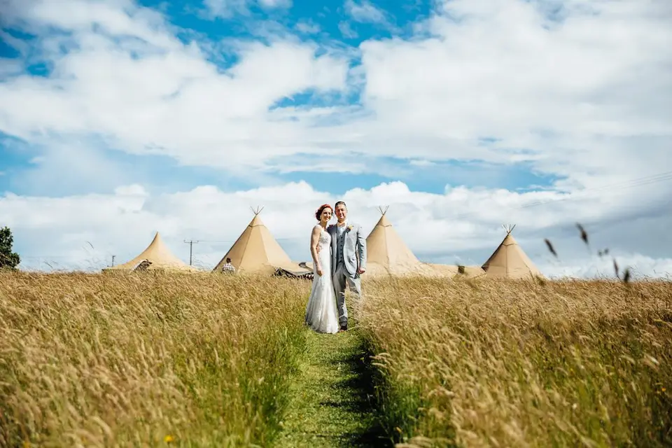 Tipistars — photo 1