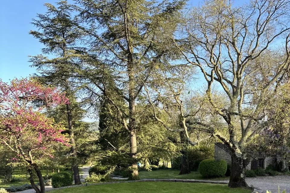 Domaine de Bonelli — photo 4