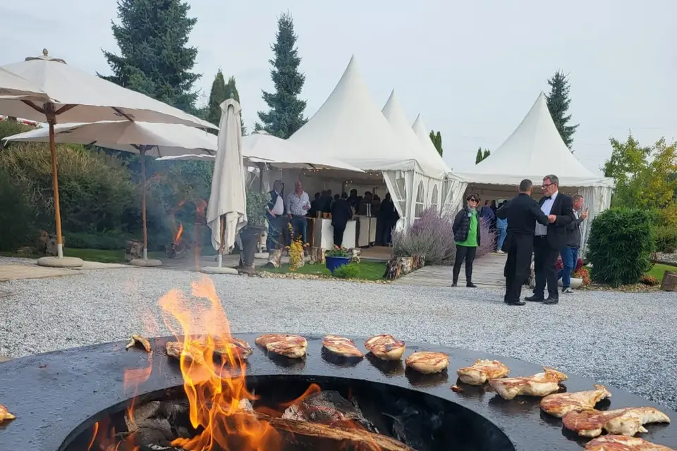 Delight & Groovy — photo 9