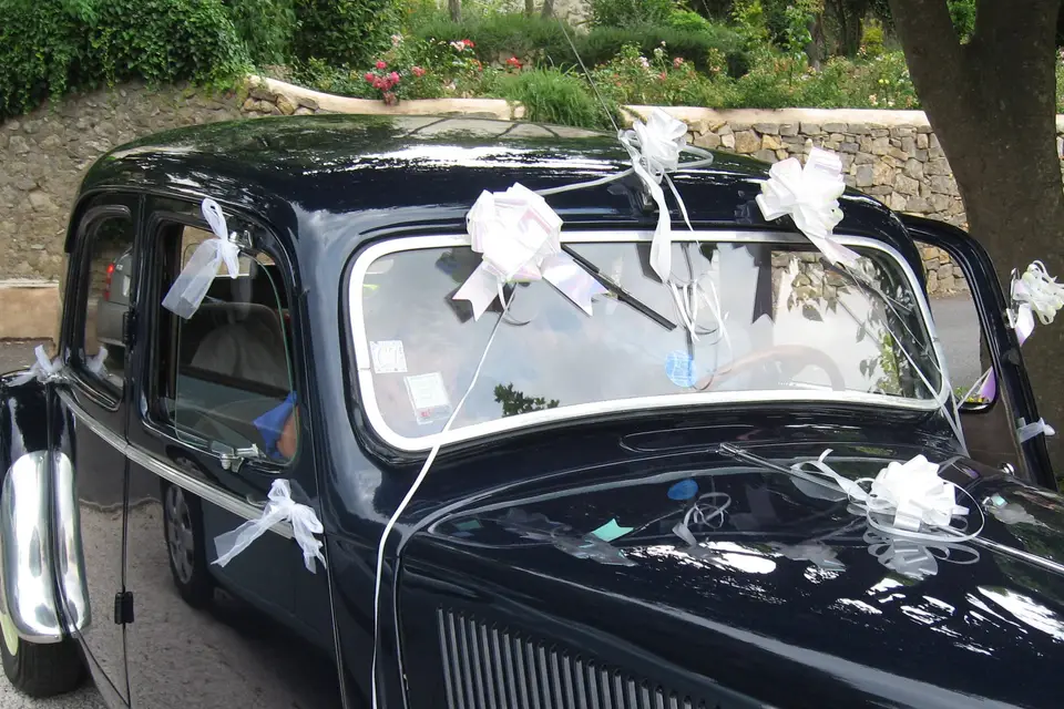 Vintage Cars & Wine — photo 3