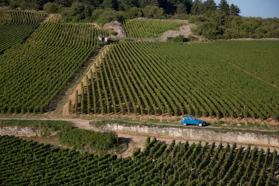 2CV Bourgogne Tours — photo 6
