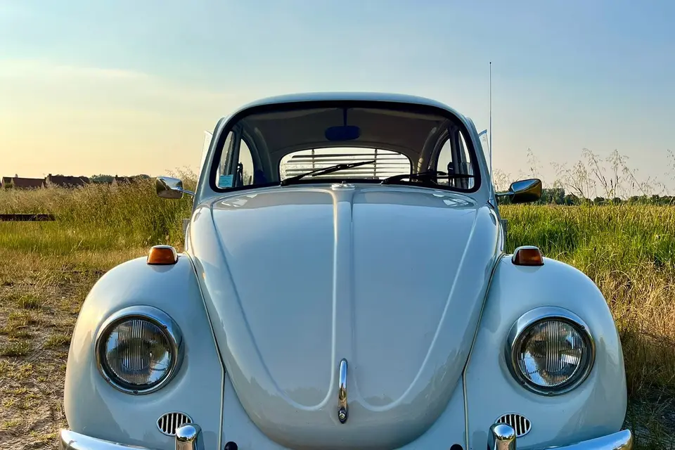 RP1 Location — photo 8