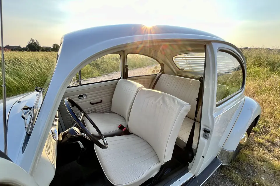 RP1 Location — photo 6