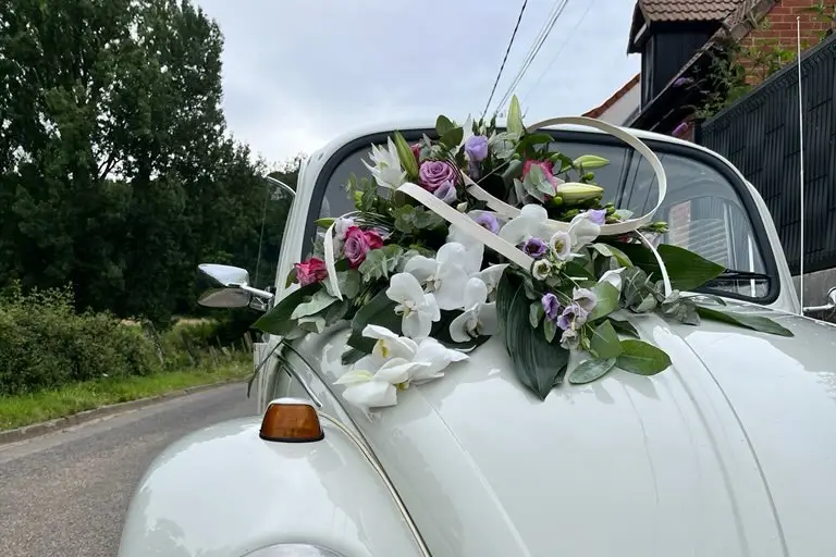 RP1 Location — photo 5