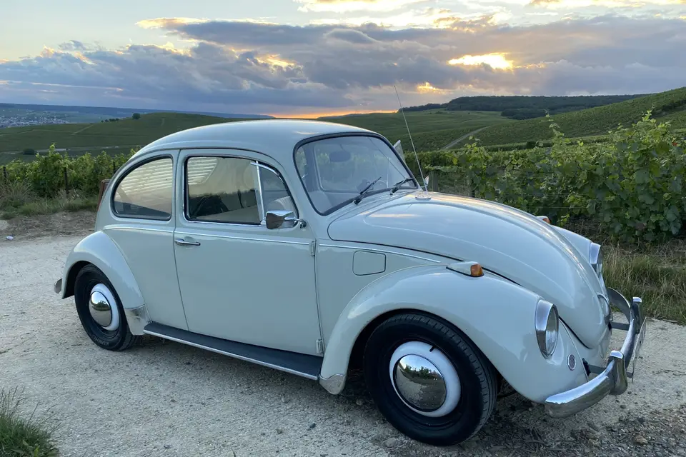 RP1 Location — photo 1