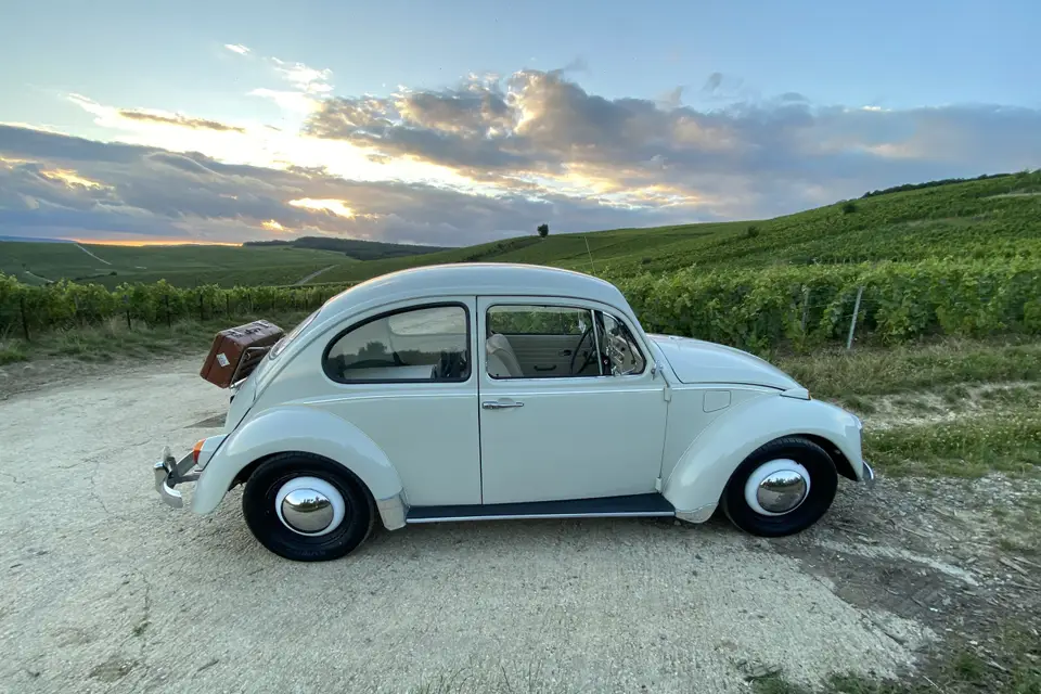 RP1 Location — photo 2