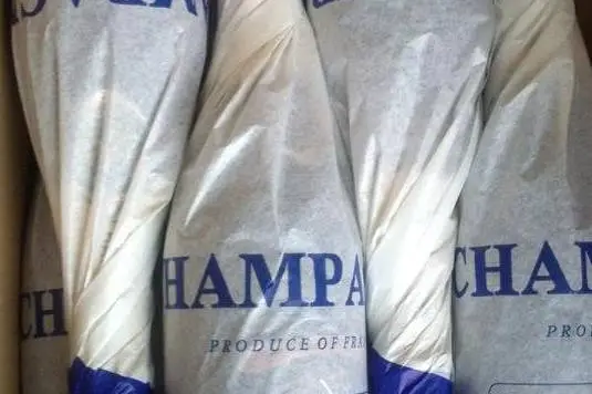 Champagne Bourgeois-Boulonnais — photo 3