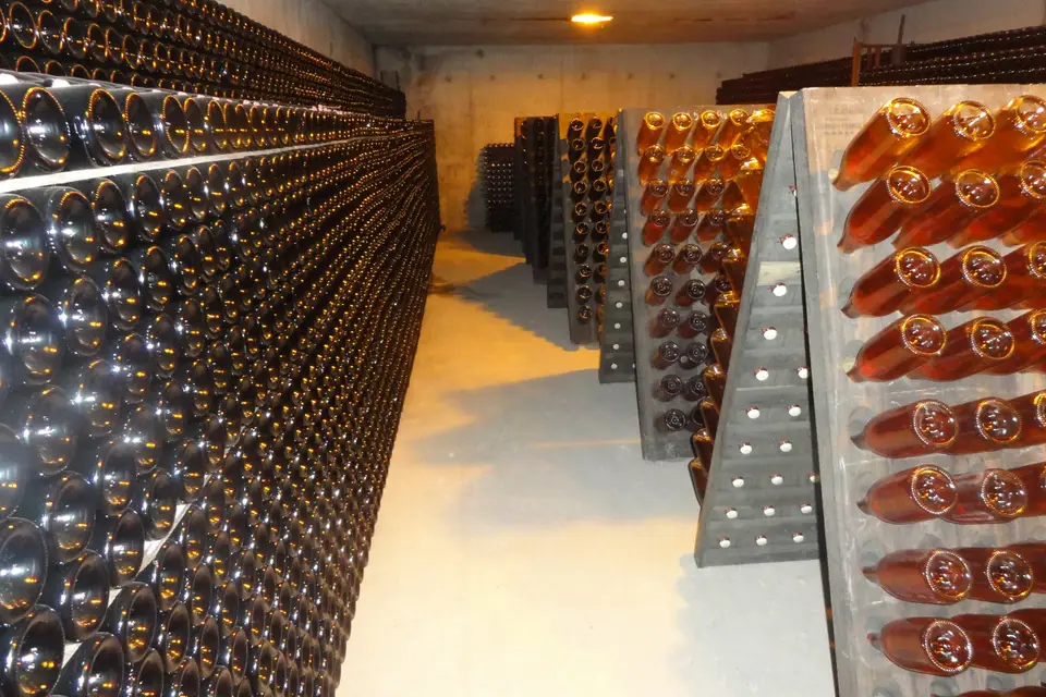 Champagne Bourgeois-Boulonnais — photo 4