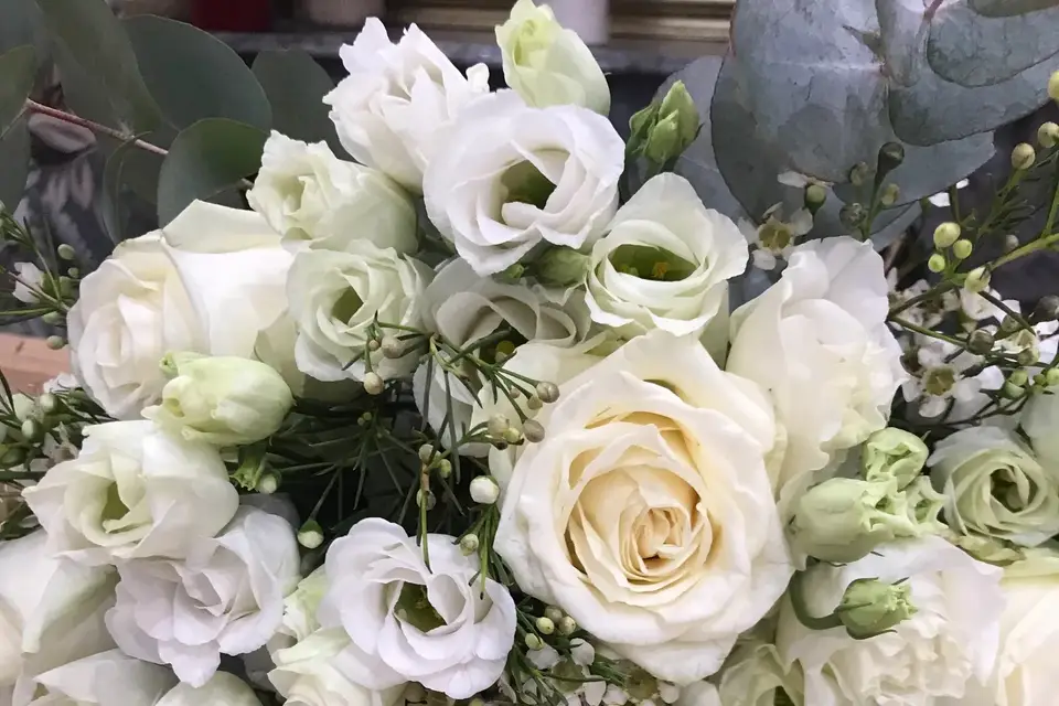 Malvarosa — photo 3