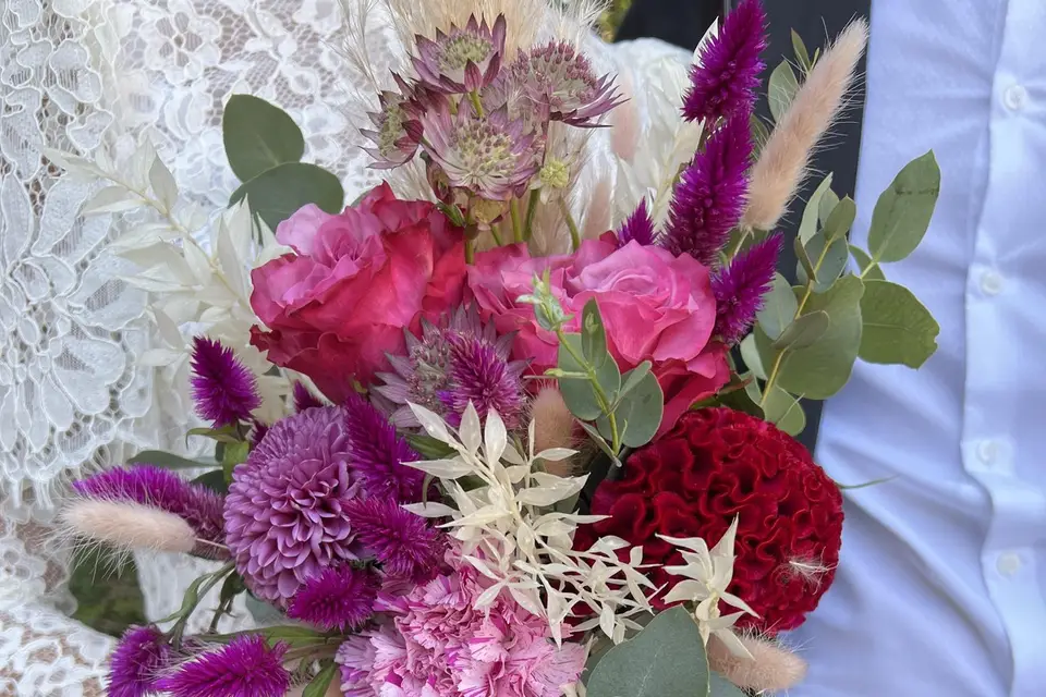 Malvarosa — photo 5