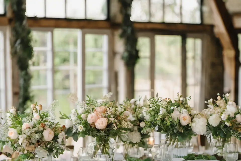 Malvarosa — photo 1