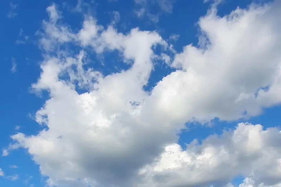 Alpes Prestige Driver — photo 5