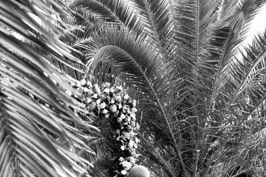 Mia Mati — photo 5