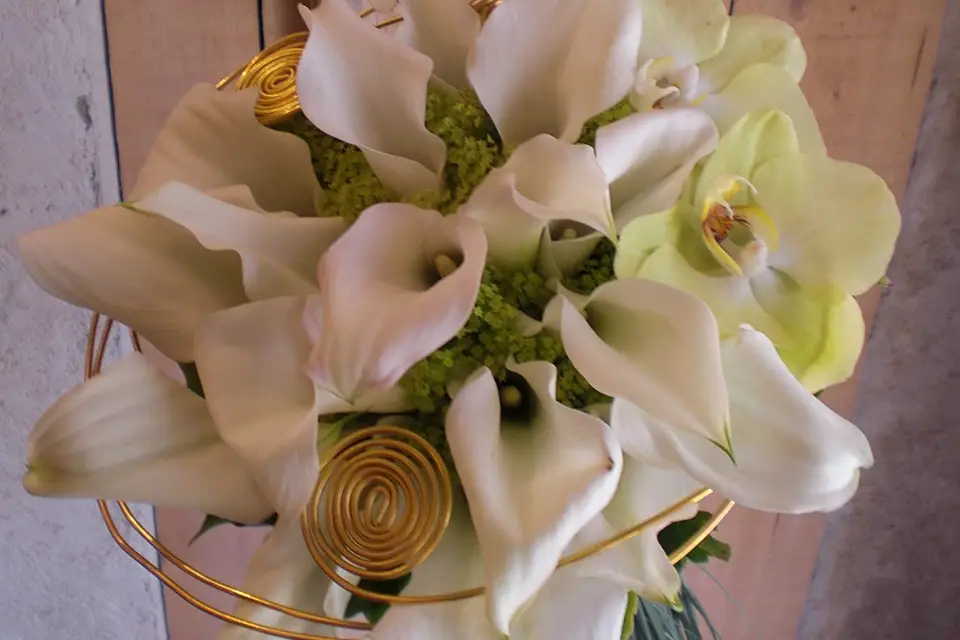 Art et Nature — photo 4