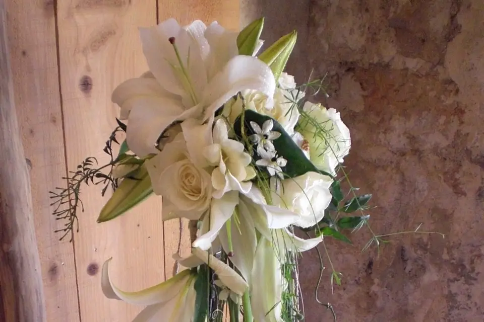 Art et Nature — photo 7