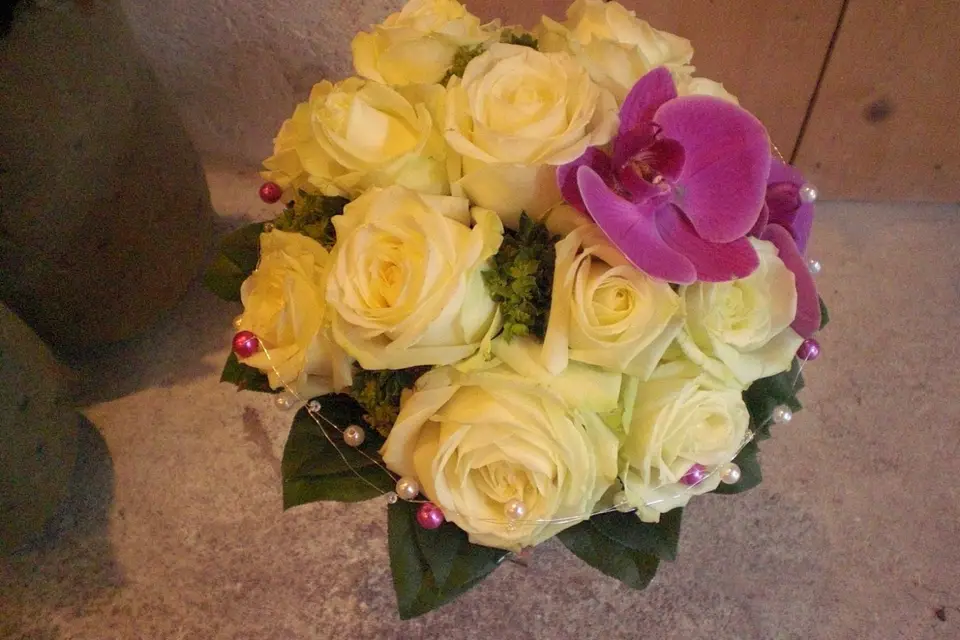 Art et Nature — photo 5