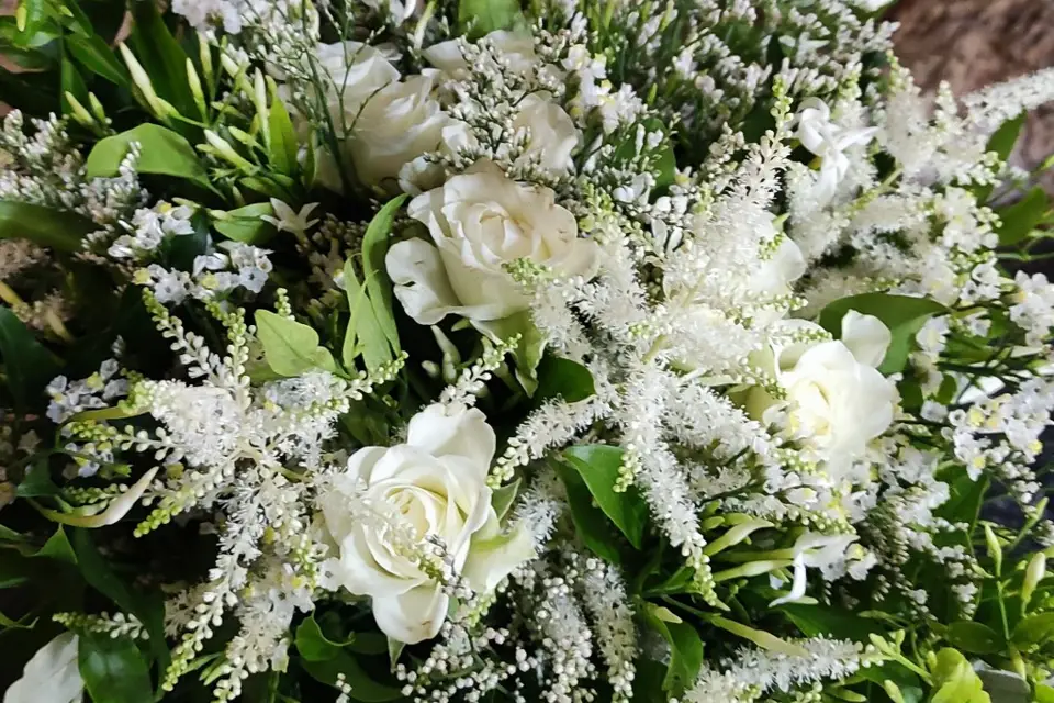 Art et Nature — photo 2