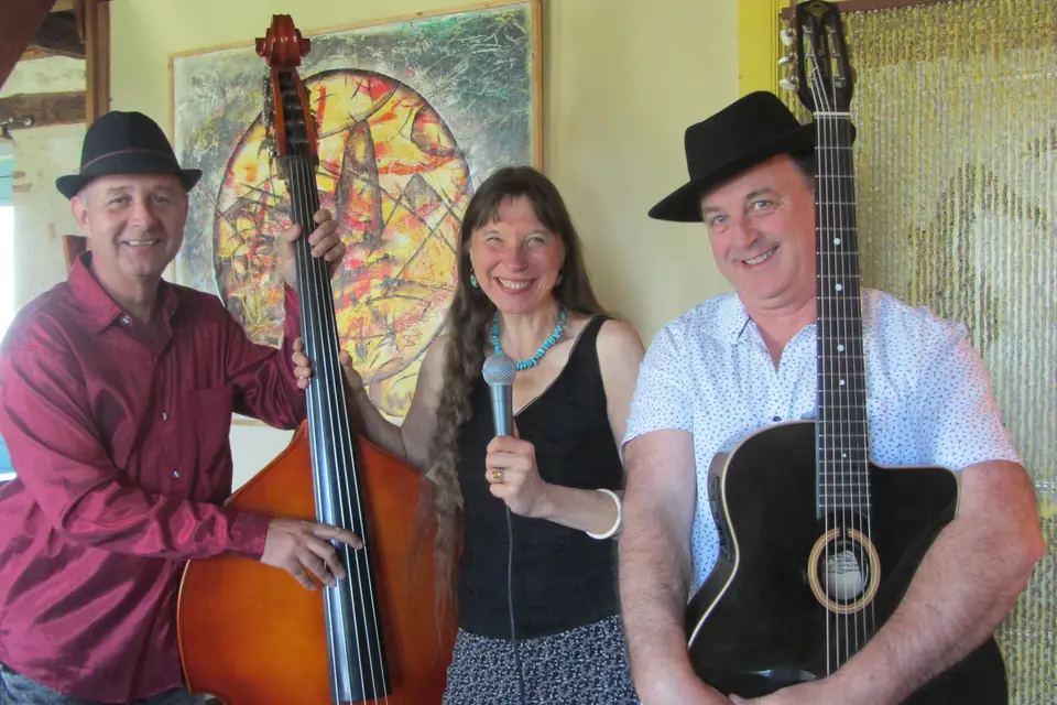 Trio Swing Guitar — photo 6