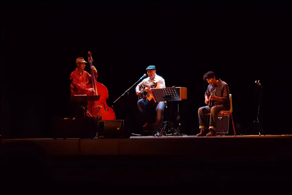 Trio Swing Guitar — photo 4