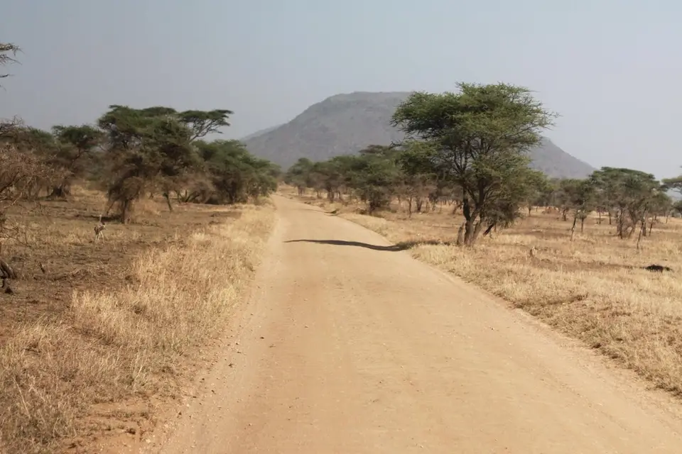 Just’un Voyage — photo 8