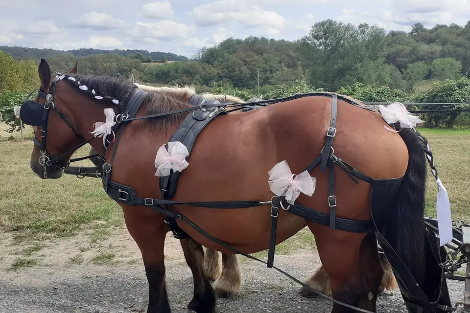 Au Bèth Lòc — photo 2