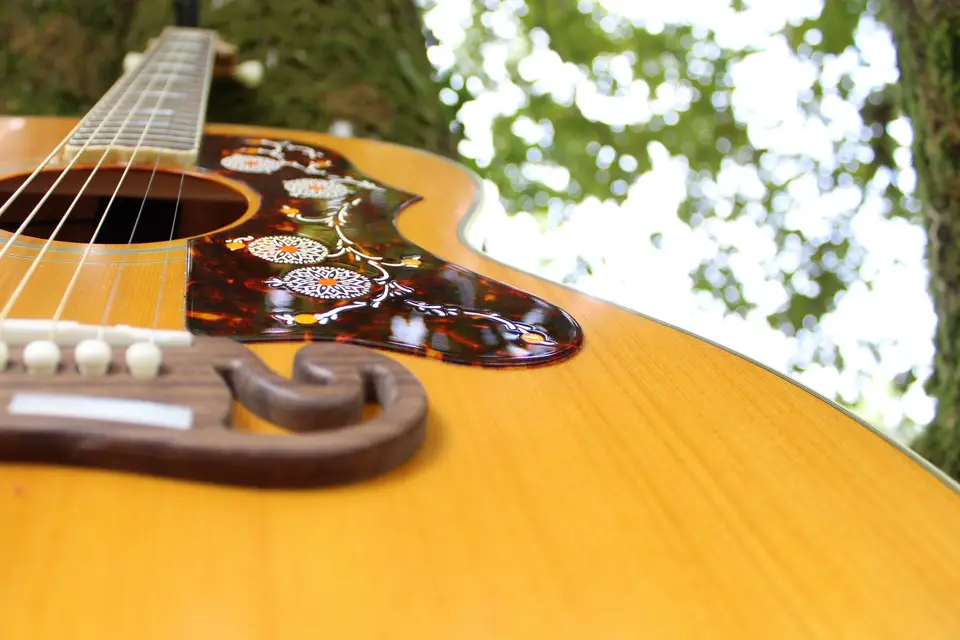 LikyRoses — photo 5