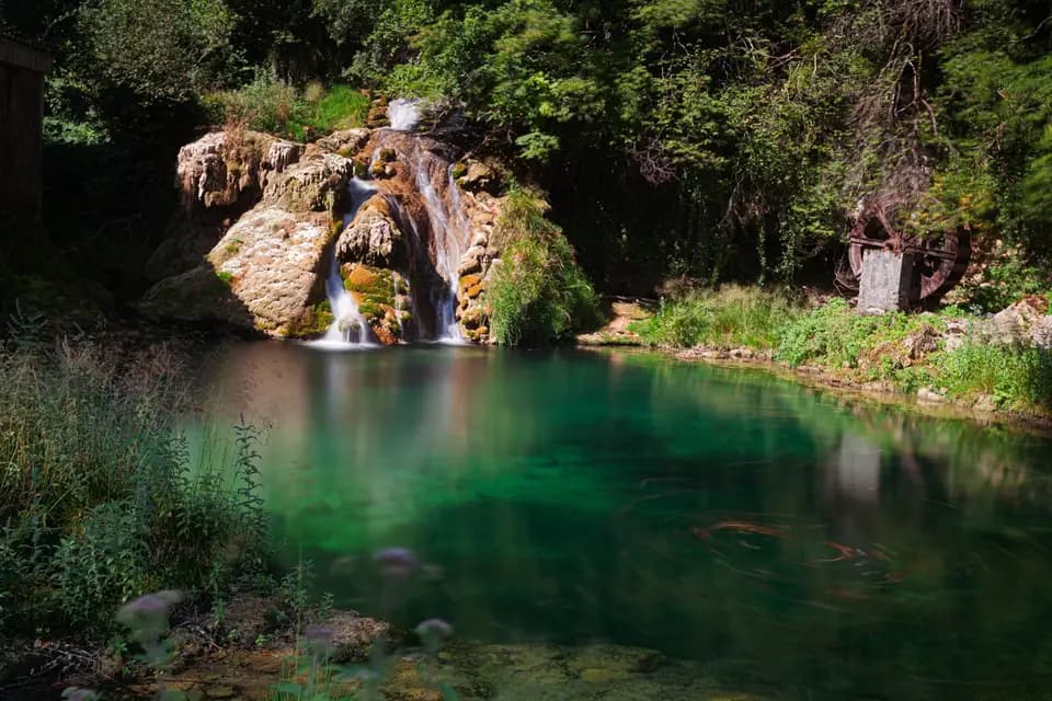 Castel Damandre — photo 2