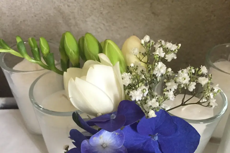 Accros Fleurs — photo 3