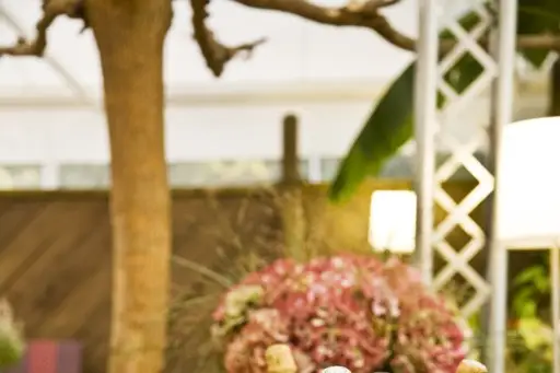 Iduki Ostatua — photo 5