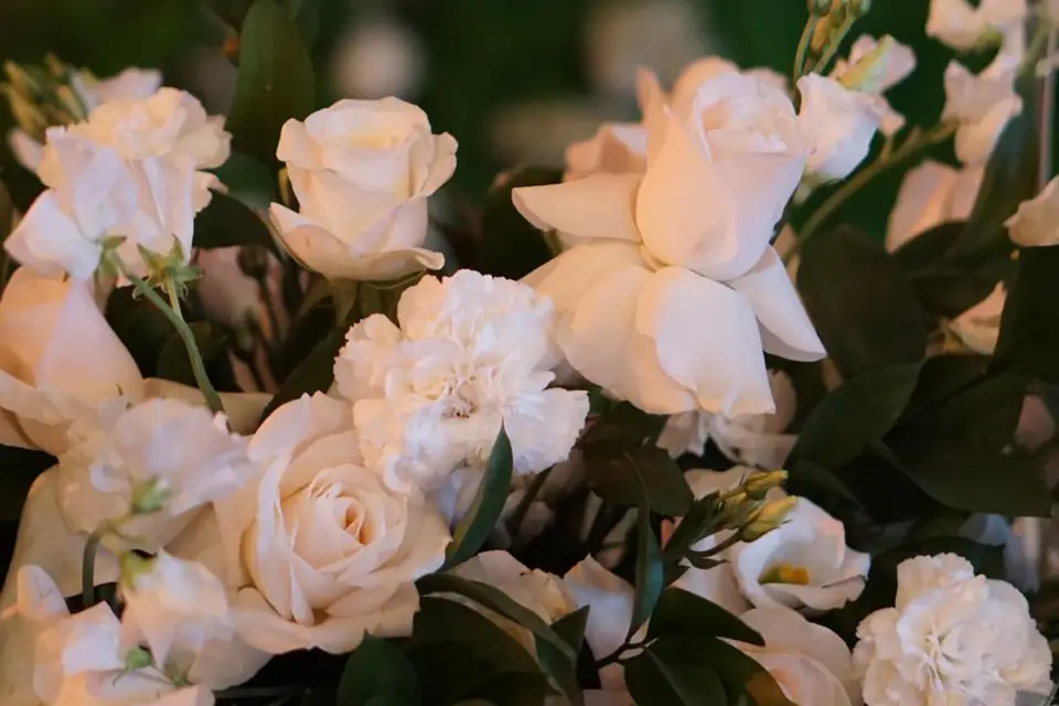 Virginia Bloom — photo 5