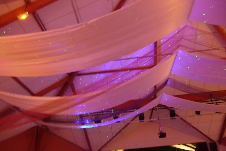 Festidomi — photo 3