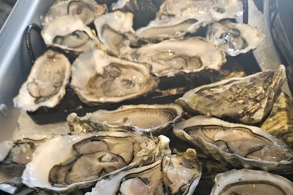 Entre vins et marée — photo 6