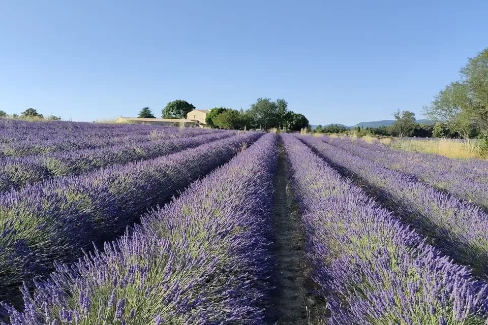 Domaine des Maillettes — photo 5