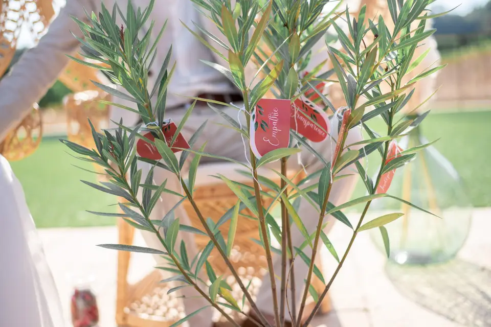 Brikena Carcani — photo 1