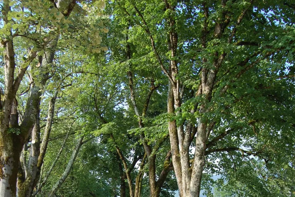 Carré Py' Hôtel — photo 3