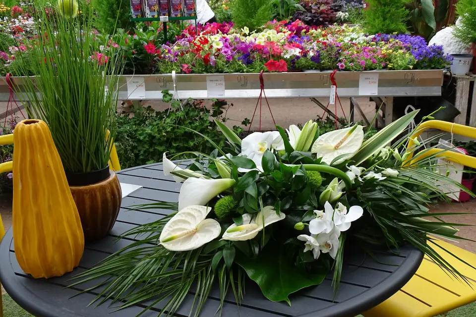 Jardinerie Garden — photo 5